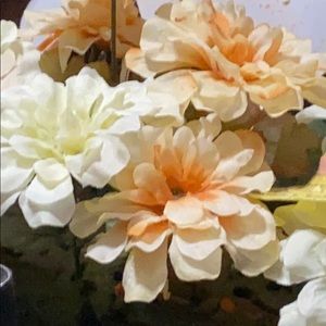 Meet your Posher, Vidal